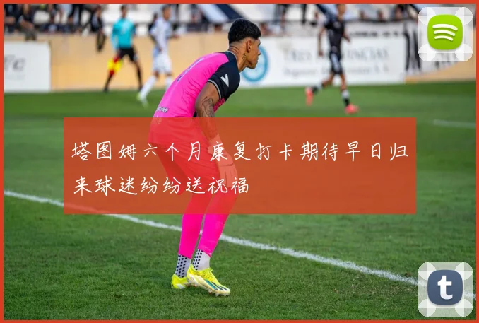 塔图姆六个月康复打卡期待早日归来球迷纷纷送祝福
